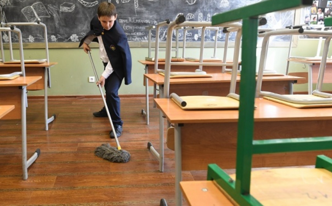 чем полезна школа